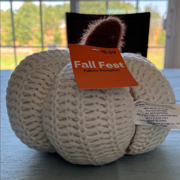 Fall Fest Other - NWT Fall Fest Cream  Fabric Pumpkin